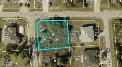 Lehigh Acres Area Lot For Sale in Lehigh Acres Florida