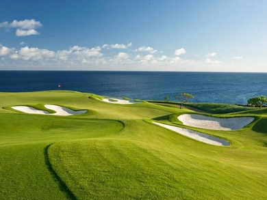 This newly constructed 4,182-sq-ft custom home in The Club at - photo 30