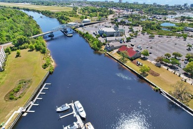 This upscale 2-bedroom, 2-bath luxury villa offers the perfect - photo 46