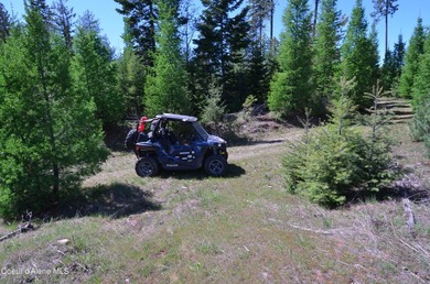 Estate Lot 8 is a large 18.19-acre parcel that has breathtaking - photo 6