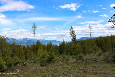 Estate Lot 8 is a large 18.19-acre parcel that has breathtaking - photo 7