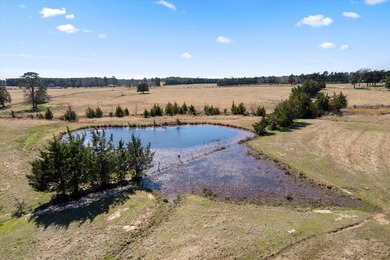Escape to Tranquil Country Living! Build Your Dream Home on - photo 8