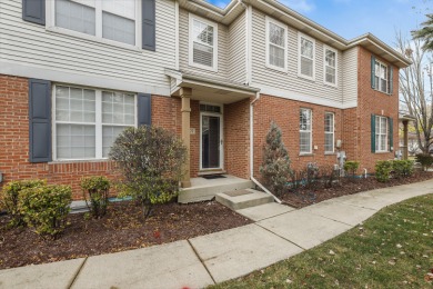(private lake, pond, creek) Townhome/Townhouse Sale Pending in Tinley Park Illinois