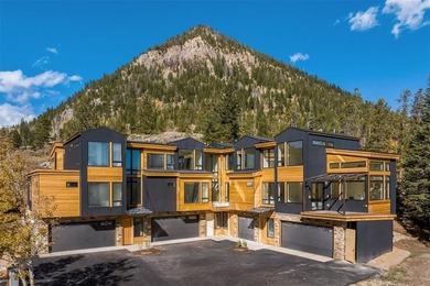 Dillon Reservoir Townhome/Townhouse For Sale in Frisco Colorado