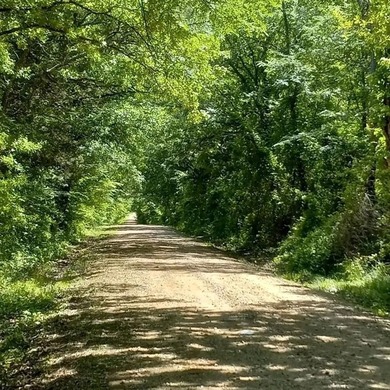 (private lake, pond, coastal) Acreage For Sale in Como Texas