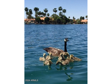 PREMIUM FURNISHED !! WATERFRONT W/EXPANSIVE LAKESIDE VIEWS! This - photo 39