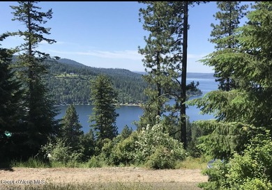 Beautiful Secondary Waterfront lot with Amazing views of Lake - photo 1