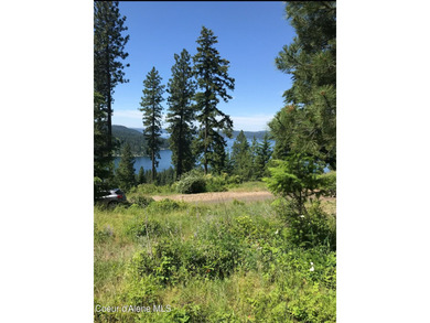 Beautiful Secondary Waterfront lot with Amazing views of Lake - photo 3