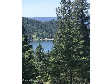 Beautiful Secondary Waterfront lot with Amazing views of Lake - photo 4