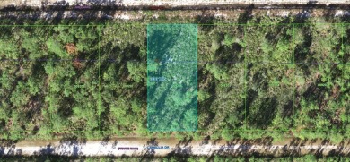 Lake Lot For Sale in Indian Lake Estates, Florida