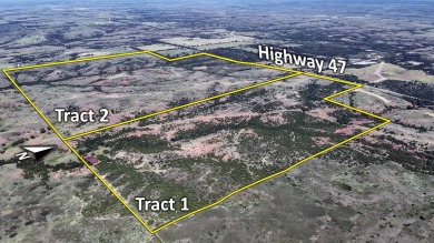 Lake Acreage For Sale in Leedey, Oklahoma