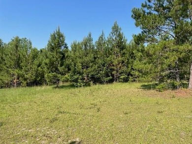 Lake Acreage For Sale in Elloree, South Carolina