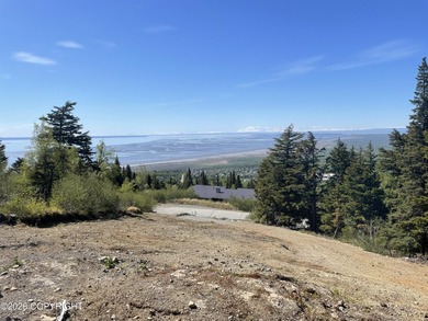 Ready to build your custom dream home in the sought-after - photo 1
