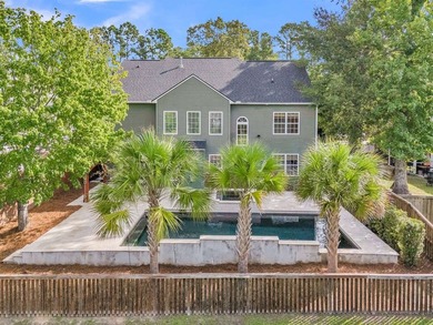 Stunning, single-owner home in Taylor Plantation on the Ashley - photo 41