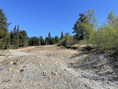 Ready to build your custom dream home in the sought-after - photo 3