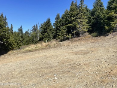 Ready to build your custom dream home in the sought-after - photo 6