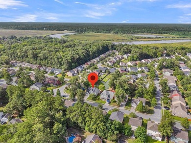 Stunning, single-owner home in Taylor Plantation on the Ashley - photo 50