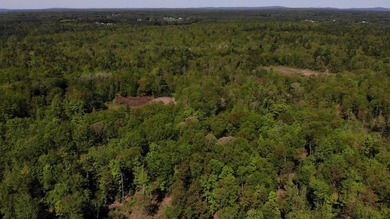 This is a rare opportunity to own a large parcel of undeveloped - photo 2