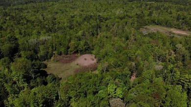 This is a rare opportunity to own a large parcel of undeveloped - photo 3