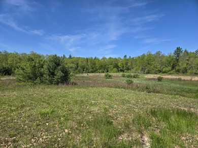 This is a rare opportunity to own a large parcel of undeveloped - photo 4