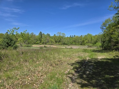 This is a rare opportunity to own a large parcel of undeveloped - photo 5