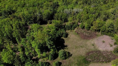 This is a rare opportunity to own a large parcel of undeveloped - photo 7