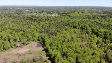 This is a rare opportunity to own a large parcel of undeveloped - photo 8