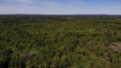 This is a rare opportunity to own a large parcel of undeveloped - photo 9