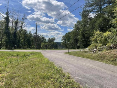 Dale Hollow Lake Lot For Sale in Albany Kentucky