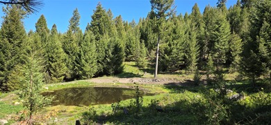 (private lake, pond, creek) Acreage For Sale in Drummond Montana