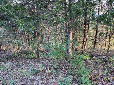 Pinnacle Lake Lot For Sale in New Florence Missouri