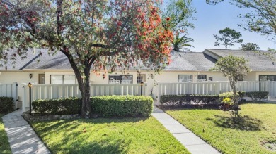 Lake Home For Sale in Tarpon Springs, Florida