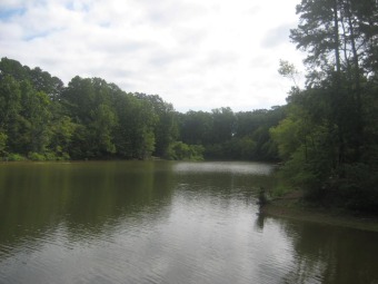 Kerr Lake - Buggs Island Lake Lot For Sale in Clarksville Virginia