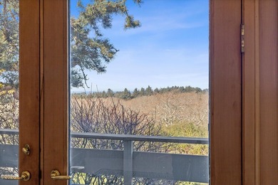 Set above the Pacific with sweeping panoramic ocean views, this - photo 11