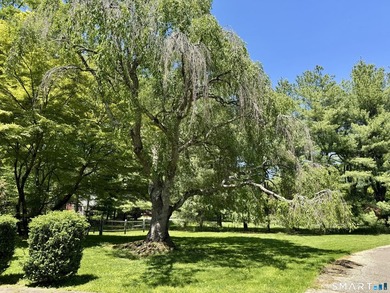 Come walk this stunning 1.5 acre lot with me - totally private - photo 17