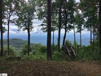 Nestled in the mountains just minutes from Greenville, SC, make - photo 1