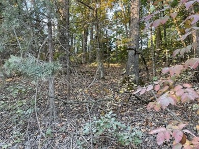 Pinnacle Lake Lot For Sale in New Florence Missouri