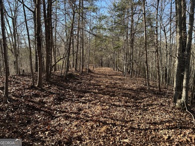 Premier 76 acre riverfront tract located at the rare confluence - photo 2