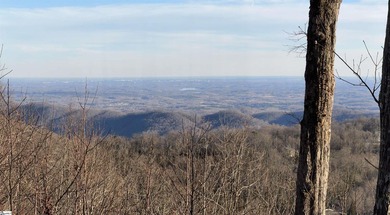 Nestled in the mountains just minutes from Greenville, SC, make - photo 2