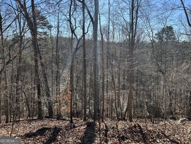 Premier 76 acre riverfront tract located at the rare confluence - photo 3