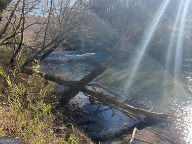 Premier 76 acre riverfront tract located at the rare confluence - photo 4