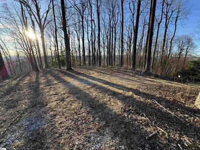 Nestled in the mountains just minutes from Greenville, SC, make - photo 5