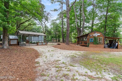 Experience the versatility of this unique Lady's Island property - photo 27