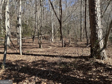 Premier 76 acre riverfront tract located at the rare confluence - photo 7