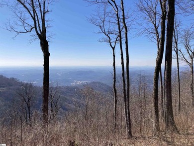 Nestled in the mountains just minutes from Greenville, SC, make - photo 7