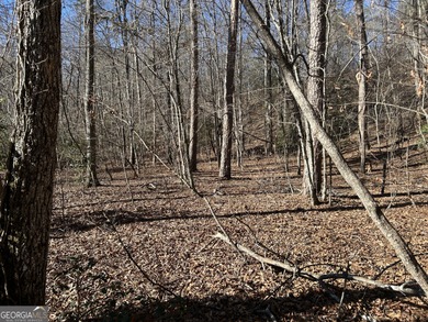 Premier 76 acre riverfront tract located at the rare confluence - photo 8