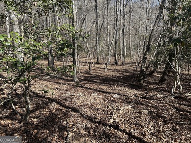 Premier 76 acre riverfront tract located at the rare confluence - photo 10
