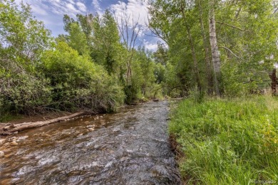 Lake Acreage For Sale in Salida, Colorado
