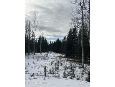 AMAZING lot centrally located off K-Beach between Kenai & - photo 2