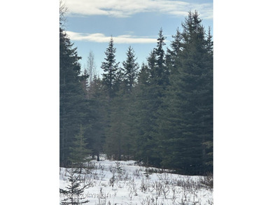 AMAZING lot centrally located off K-Beach between Kenai & - photo 3